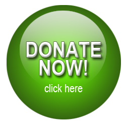 donate now